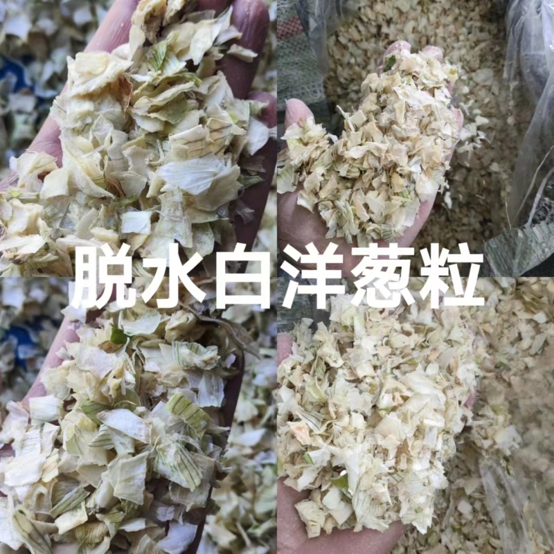 脱水白洋葱粒