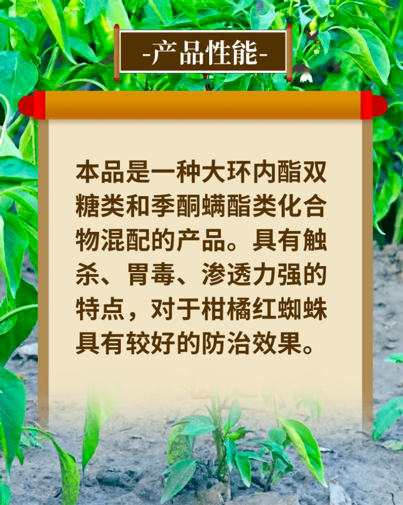中科20%阿维螺螨酯柑橘果树红蜘蛛黄蜘蛛锈壁虱叶螨杀螨剂