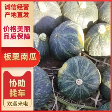 南瓜板栗南瓜,内蒙古板栗南瓜武川南瓜产地一手货源