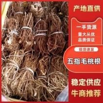 五指毛桃根，无硫磺无任何添加欢迎选购