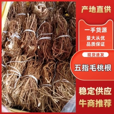 五指毛桃根，无硫磺无任何添加欢迎选购