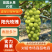 精品冷库阳光玫瑰葡萄原产地大量供应万亩葡萄基地