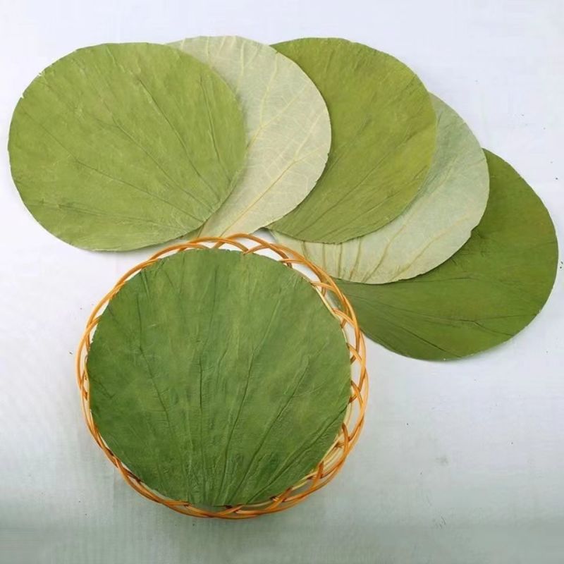 清新荷叶，采摘新鲜，品质保证多年老店稳定供货
