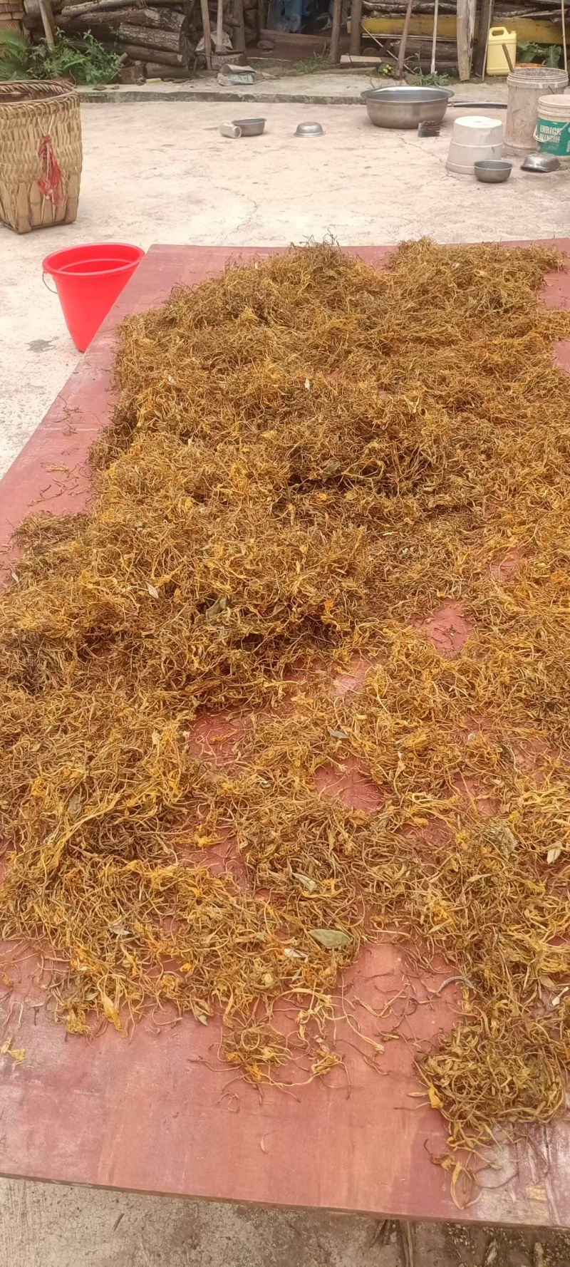 四川宜宾四季金银花，产地直达，品质保证，欢迎合作共赢