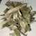 荷叶荷叶粉