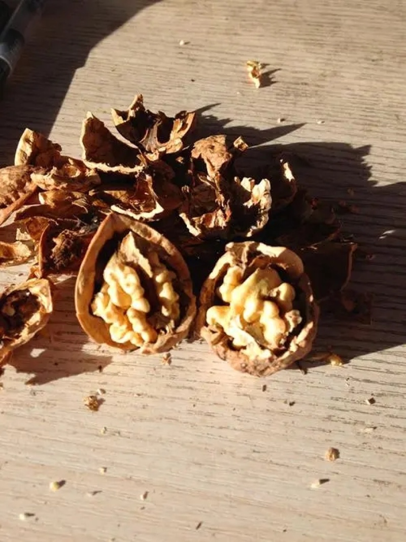 核桃皮核桃皮粉青龙衣