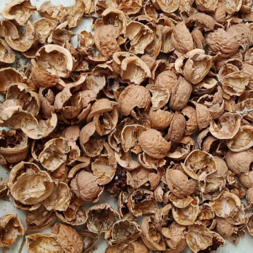 核桃皮核桃皮粉青龙衣