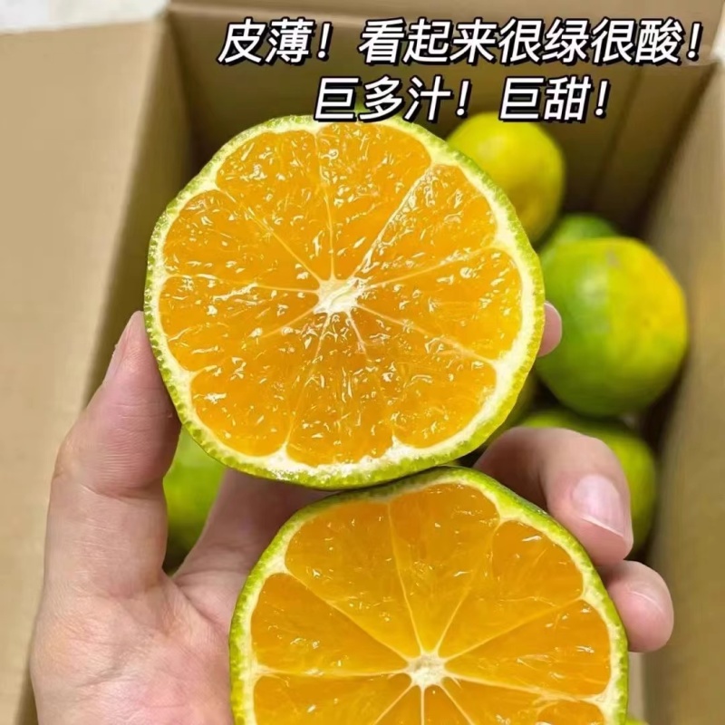 蜜橘湖北宜昌蜜橘大量上市了老板热情价格美丽可致电