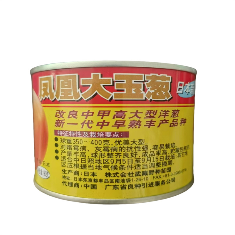 凤凰大玉葱种子中日照黄皮洋葱种子新一代中早熟日本原装