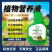 瓜果蔬菜水果作物通用营养液微知源植物营养液正品