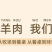 宁夏盐池滩羊无脊羊排整扇去脊烧烤用整只新鲜肋排半成品冷冻
