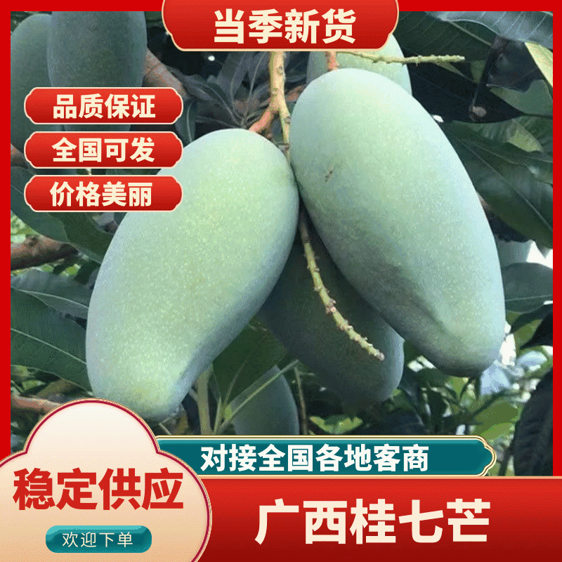 桂七芒广西桂七芒一件代发整箱包邮品质保证