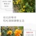 重瓣棣棠花苗丛生地棠蜂棠花黄度梅金棣棠梅黄榆庭院绿化绿篱