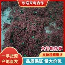 大红袍花椒特级新鲜特红，干货鲜红，支持视频看货