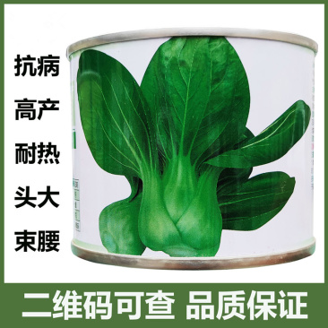美冠青梗菜种子耐热耐湿耐雨水抗病不拔节头大束腰