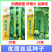 赛佳丽中绿丝瓜种子早熟瓜条顺直肉质嫩香甜带顶花