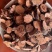 红景天红景天粉蔷薇红景天