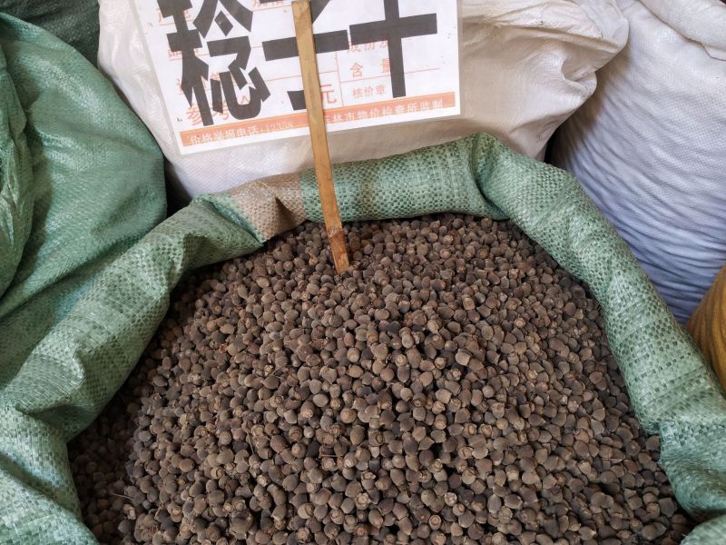 山稔子岗捻子捻子干一件批发量大从优