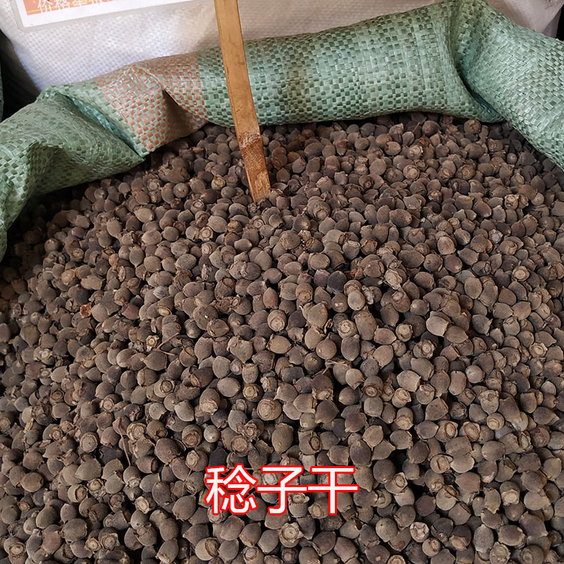 山稔子岗捻子捻子干一件批发量大从优