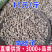 山稔子岗捻子捻子干一件批发量大从优