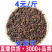 女贞子冬青籽一件批发量大从优