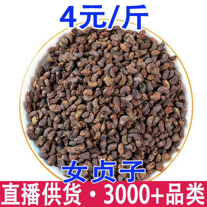 女贞子冬青籽一件批发量大从优