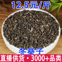 冬葵子冬葵籽葵菜籽一件代发量大从优