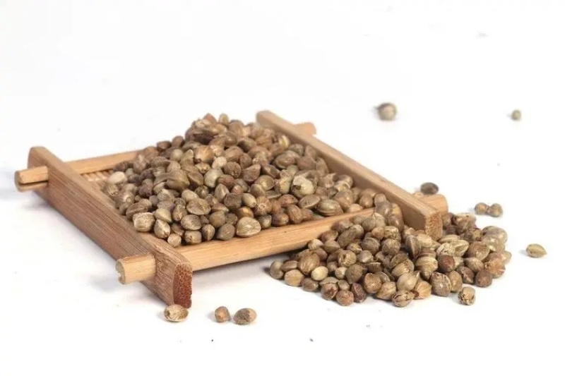 火麻仁火麻仁粉大麻仁