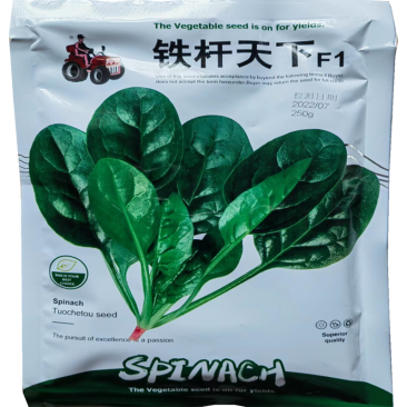 铁杆天下菠菜种子丹麦进口耐热大菠菜种子抗1-16生理小种
