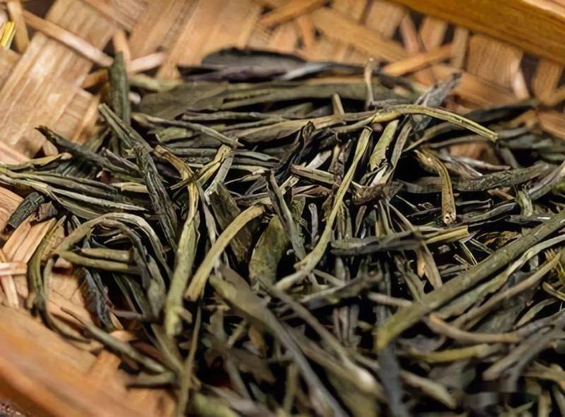 苦丁茶苦丁茶粉茶丁