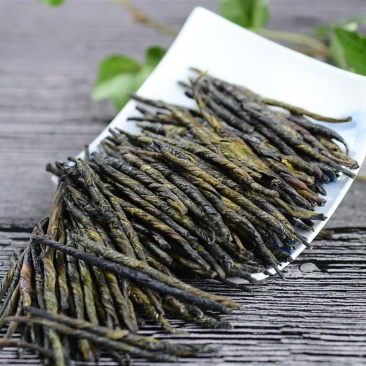 苦丁茶苦丁茶粉茶丁