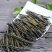 苦丁茶苦丁茶粉茶丁