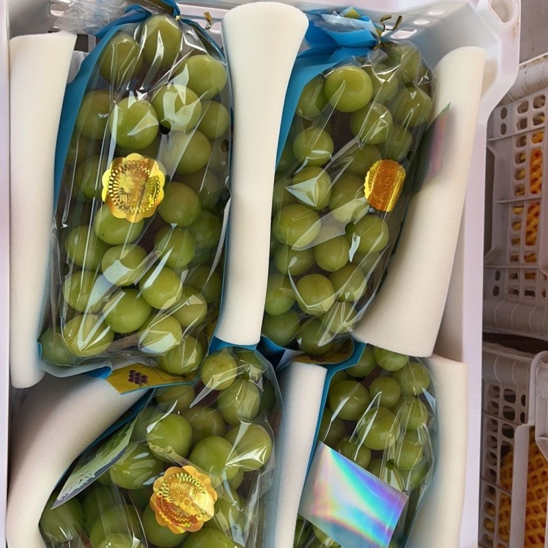 湖南阳光玫瑰湖南葡萄晴王葡萄颗粒大糖度高量大从优