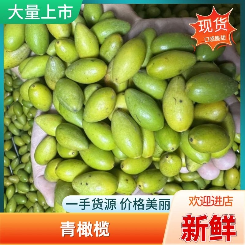 二号橄榄青橄榄产地直发长期大量供应可长期合作