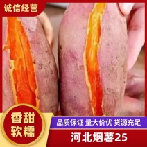 【烟薯25】河北烟薯，密薯，口感软糯，欢迎来电！