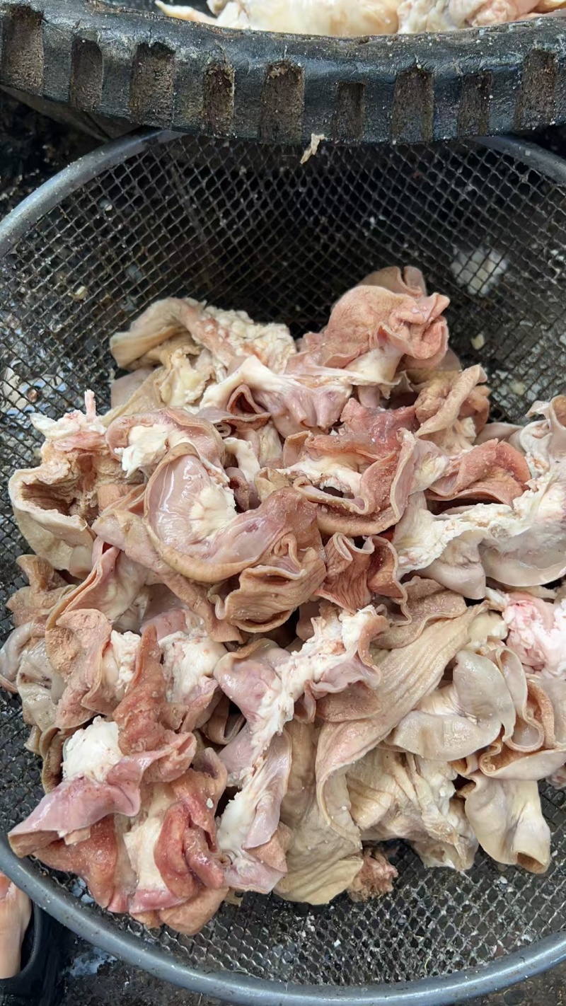 精品原味精修去油牛肠各种牛副产品齐全品质好量大价优