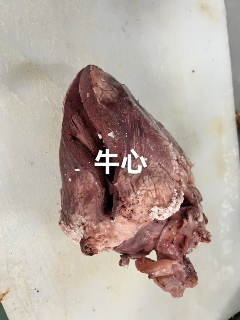 河南博爱原味全熟牛心牛副产品齐全品质好价格优惠欢迎咨询