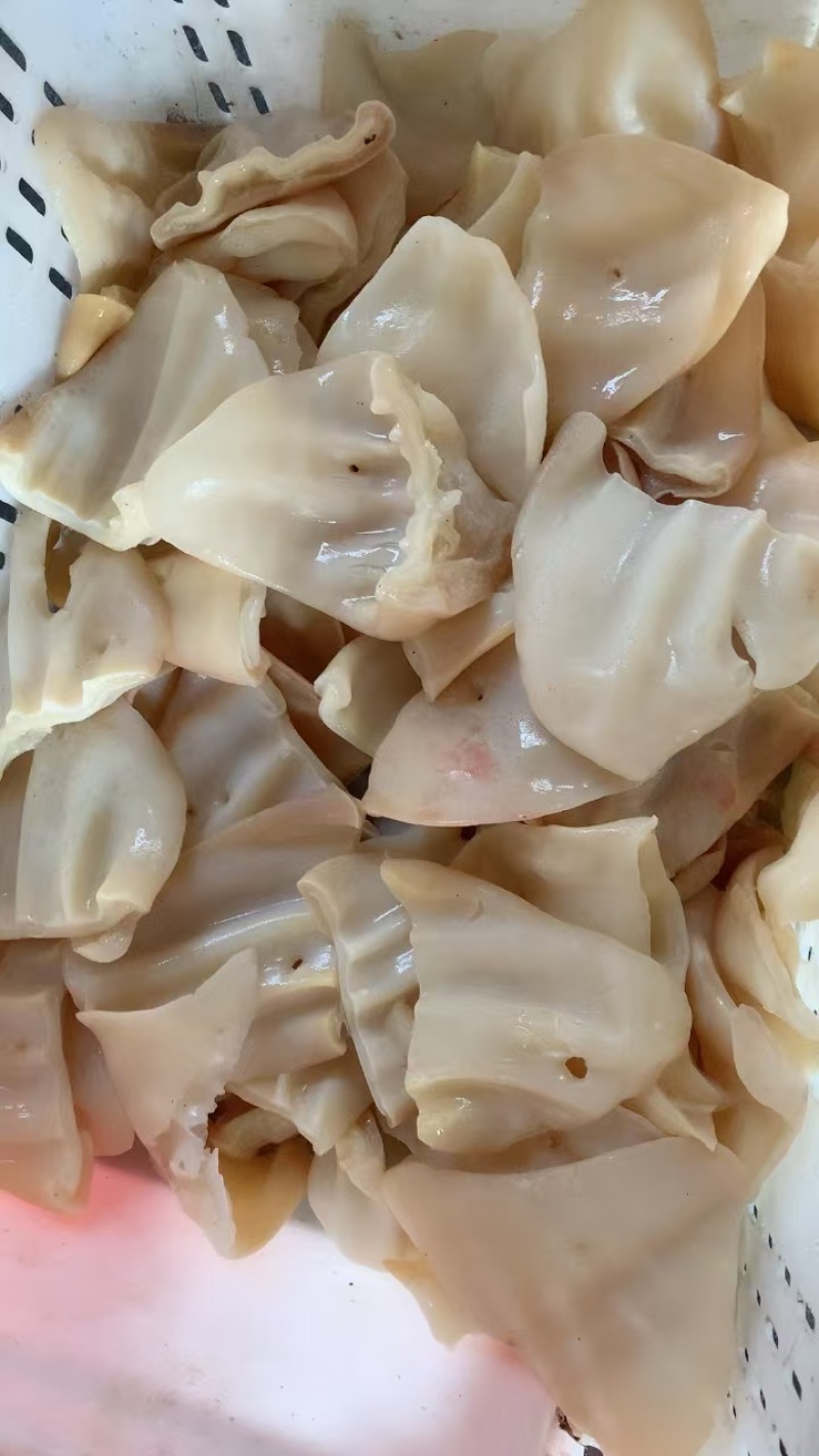 原味水煮牛耳朵牛丝品质好价格优惠厂家直发量大价优欢迎咨询