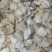 原味水煮牛耳朵牛丝品质好价格优惠厂家直发量大价优欢迎咨询