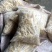原味水煮牛耳朵牛丝品质好价格优惠厂家直发量大价优欢迎咨询