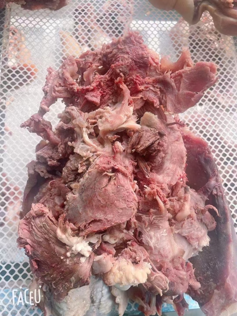 河南原味精修去皮牛头肉口感好规格齐全价格优惠欢迎咨询选购