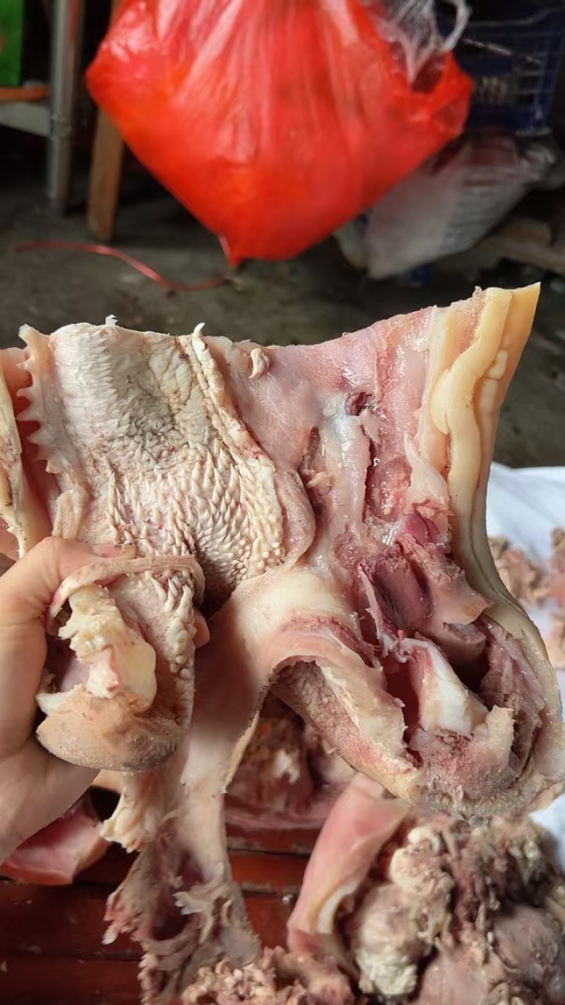河南精品原味精修牛嘴牛脸品质保障口感好品类齐全价格优惠
