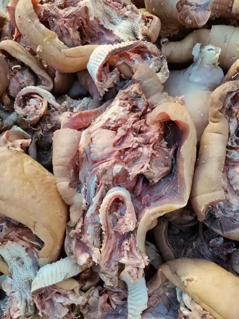 原味去油去淋巴精修牛头肉厂家直发口感好价格优惠欢迎咨询
