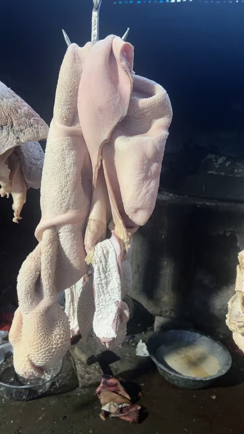 河南博爱精品原味牛肚品质好价格实惠量大价优欢迎咨询选购