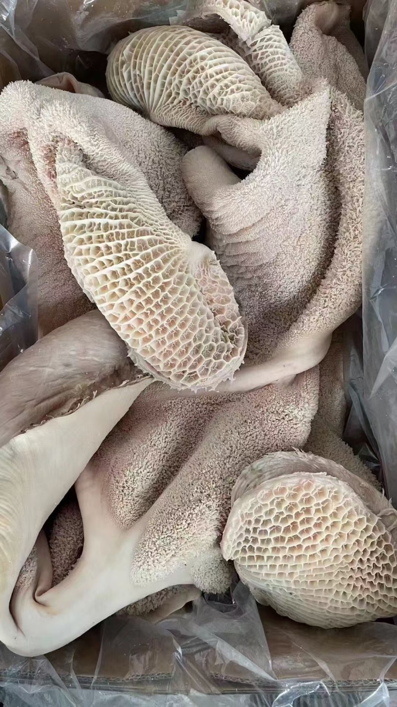 河南博爱精品原味牛肚品质好价格实惠量大价优欢迎咨询选购