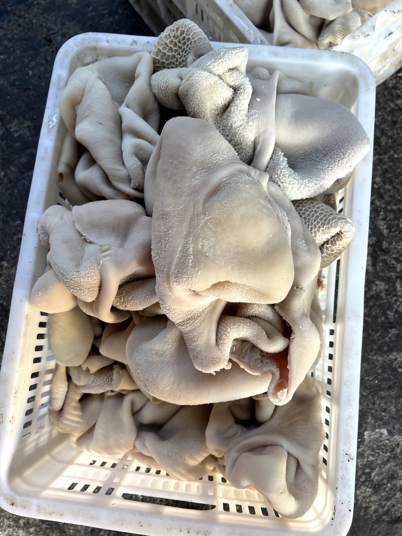 河南博爱精品原味牛肚品质好价格实惠量大价优欢迎咨询选购