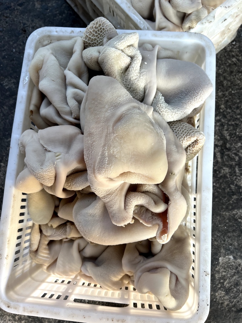 河南博爱精品原味牛肚品质好价格实惠量大价优欢迎咨询选购