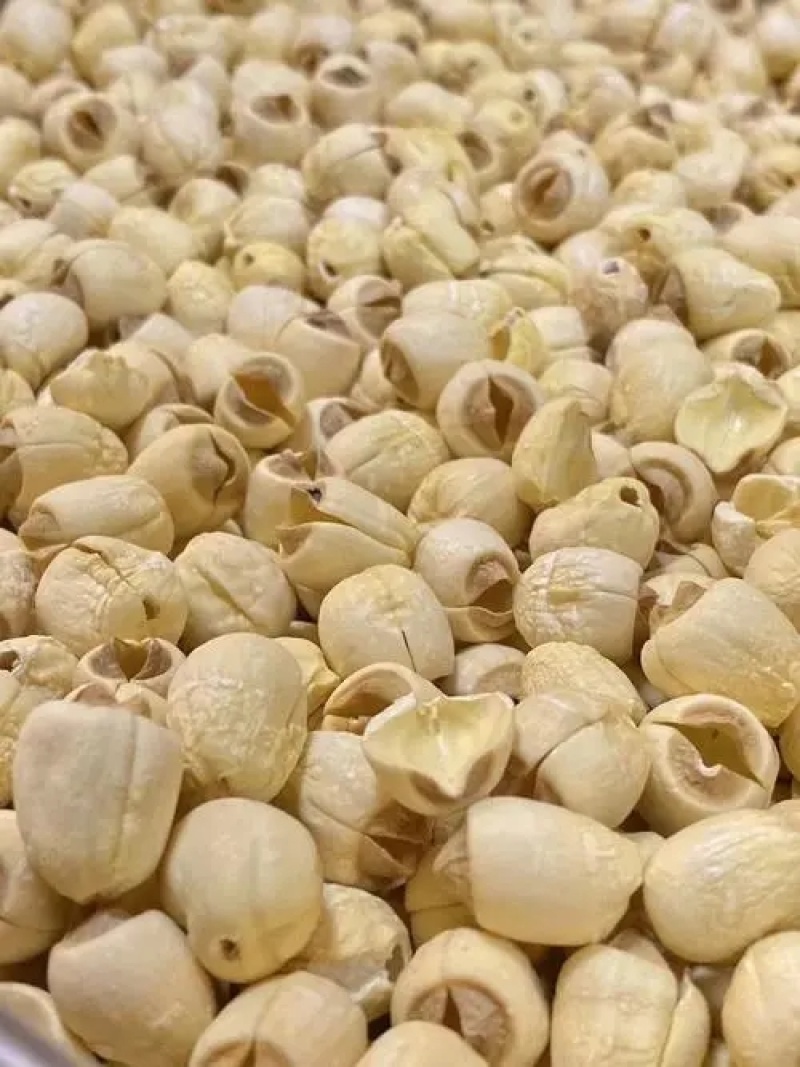 莲子莲子粉