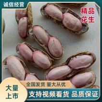 精品花生白沙鲜花生，手捡果，市场超市加工厂欢迎咨询