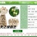 银杏种子四季易种白果树种籽阳台春季树籽盆栽绿化苗木树籽公